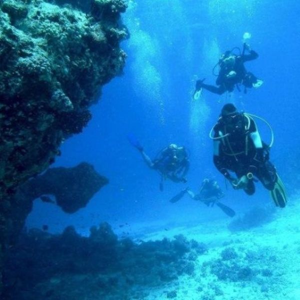 Lisbon Scuba Diving Trip
