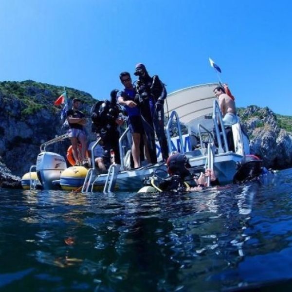 Lisbon Scuba Diving Trip