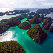Raja Ampat Freediving and Scuba Diving Liveaboard Freediving London