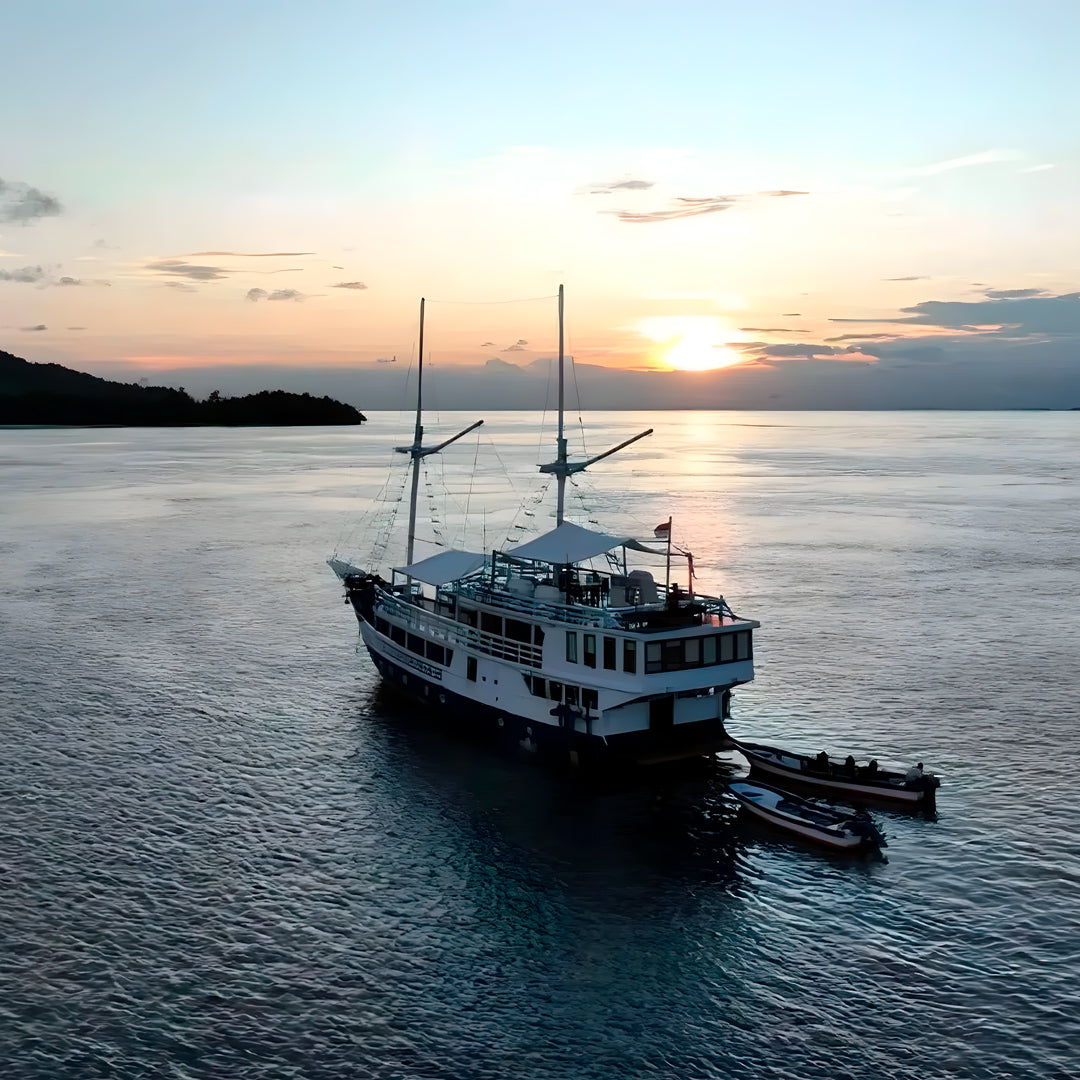 Raja Ampat Freediving and Scuba Diving Liveaboard