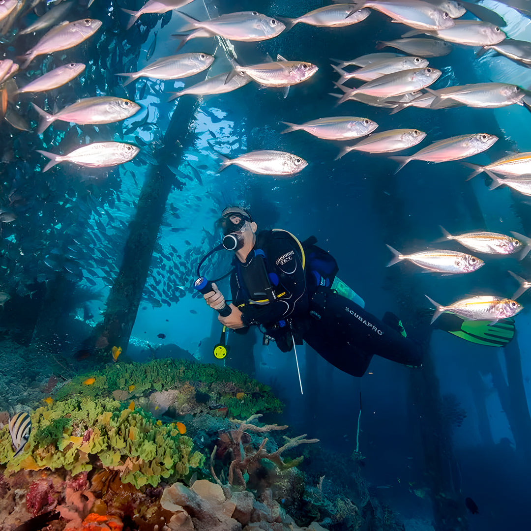 Raja Ampat Freediving and Scuba Diving Liveaboard Freediving London
