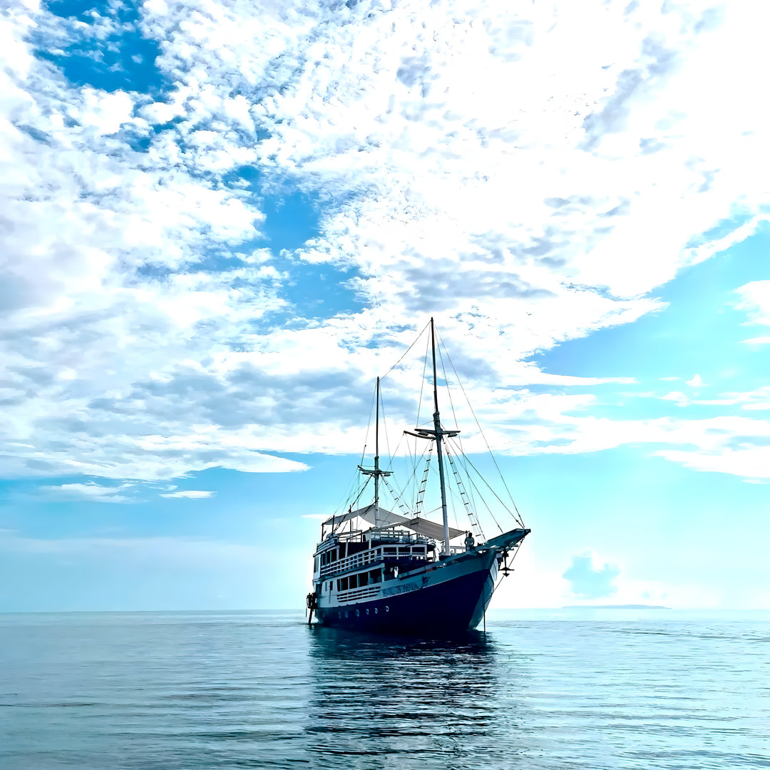 Raja Ampat Freediving and Scuba Diving Liveaboard Freediving London