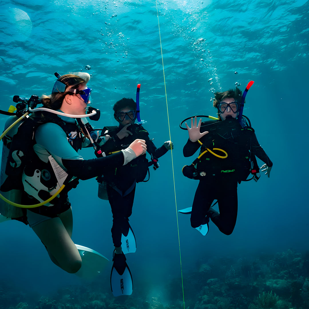 Freediving Liveaboard Maldives Blue Horizon