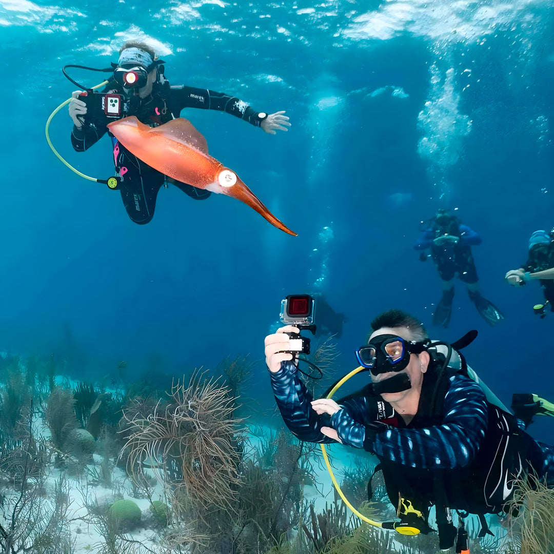 Freediving Liveaboard Maldives Blue Horizon