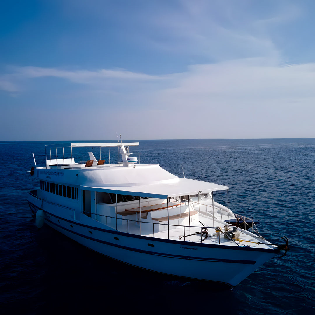 Freediving Liveaboard Maldives Blue Horizon