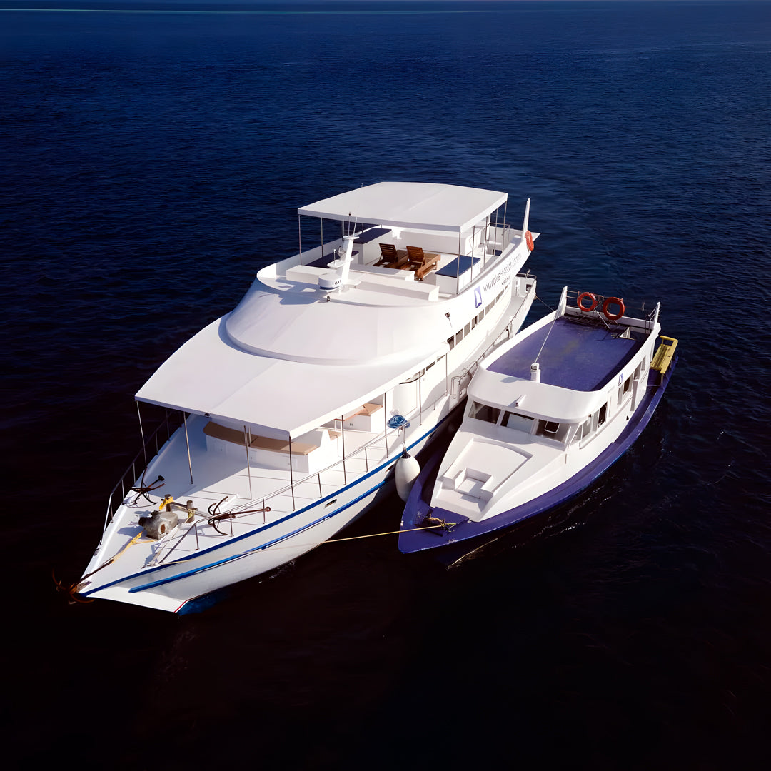 Freediving Liveaboard Maldives Blue Horizon