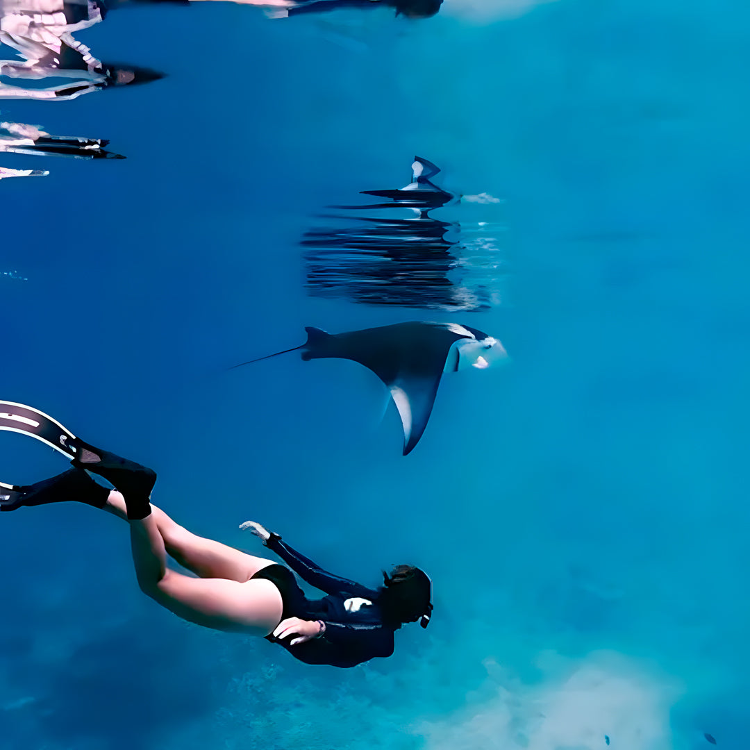 Africa Freediving Liveaboard Freediving Seychelles