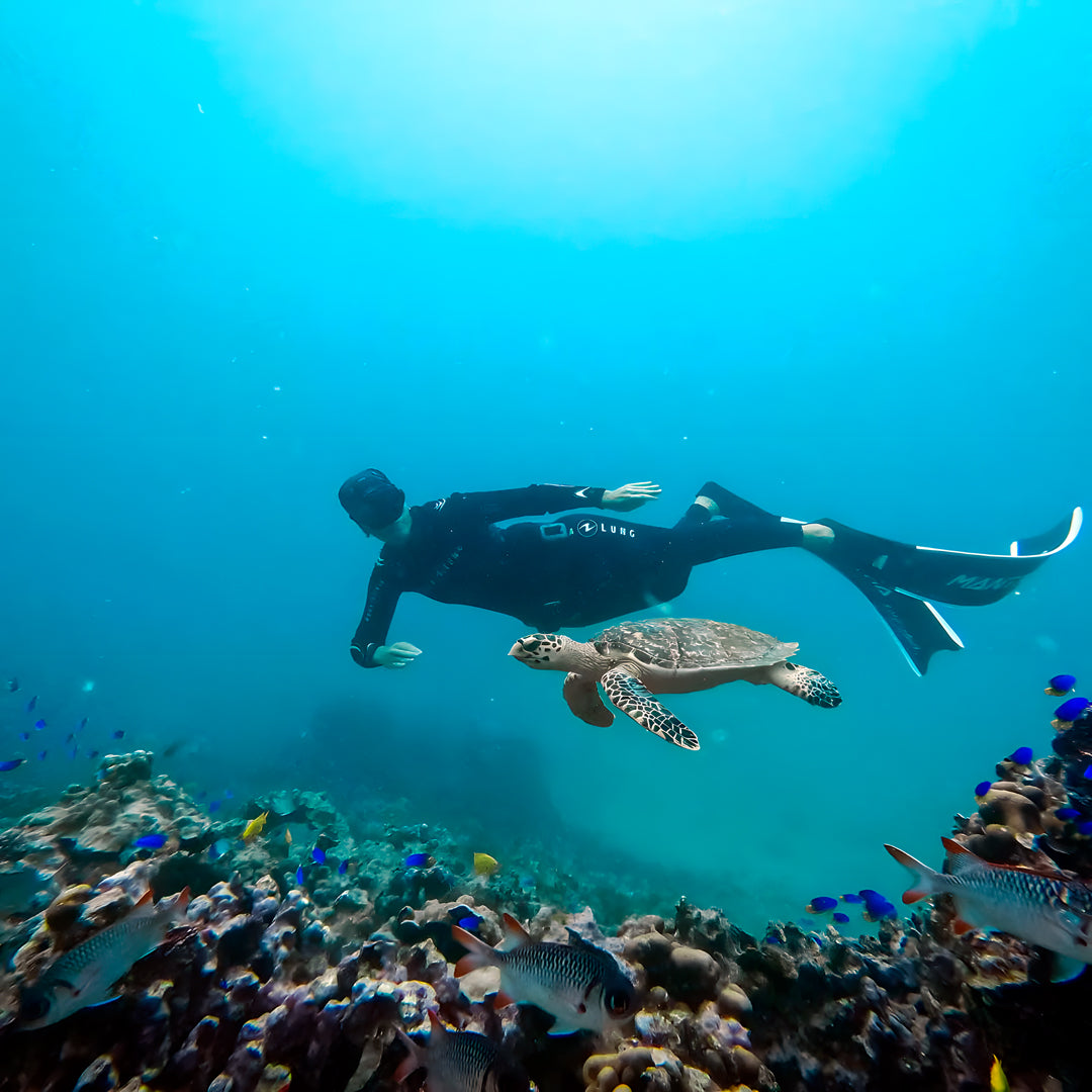 Africa Freediving Liveaboard Freediving Seychelles