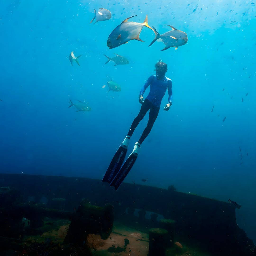 Africa Freediving Liveaboard Freediving Seychelles