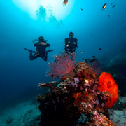 Labuan Bajo Komodo Scuba Diving Liveaboards Lotus Liveaboard