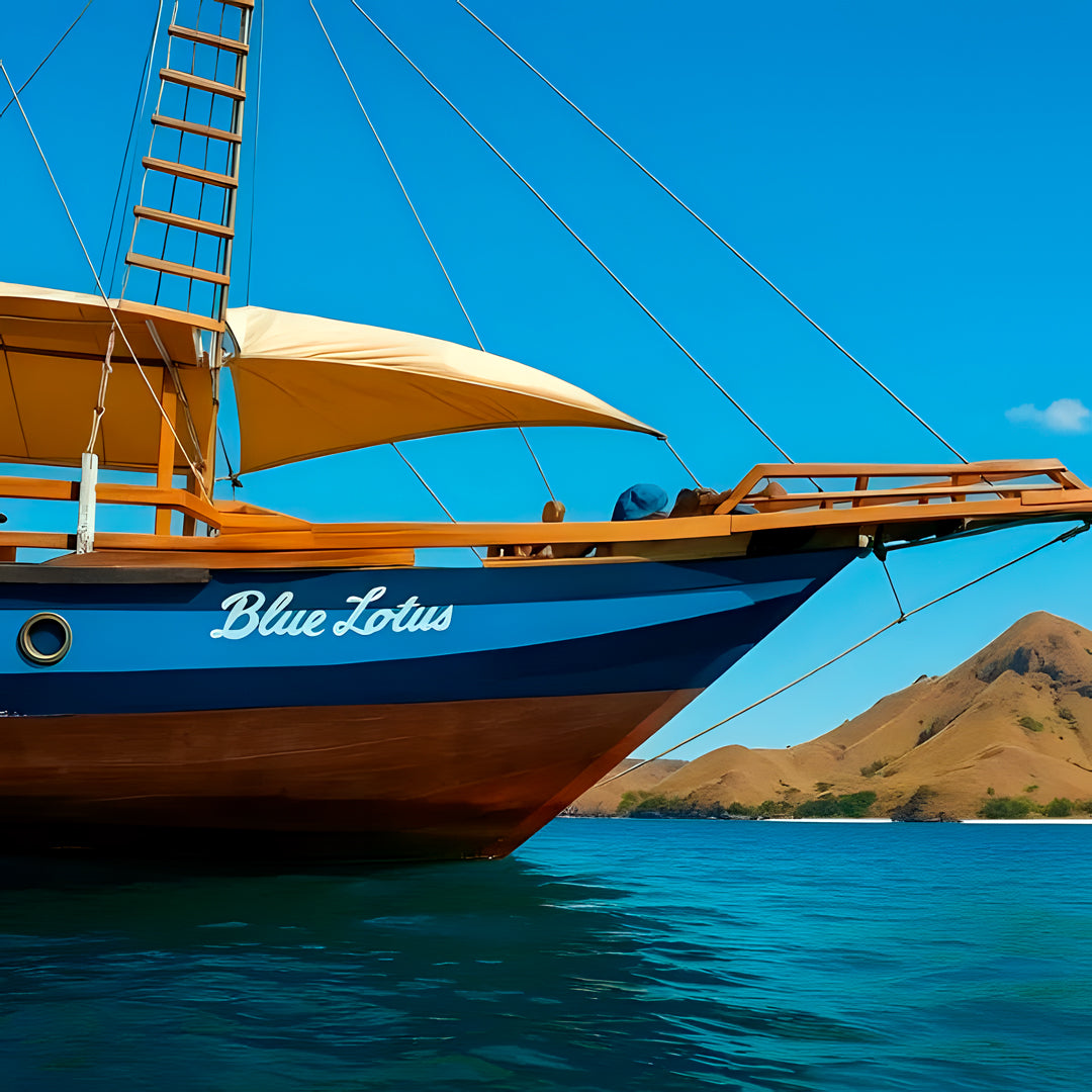 Komodo Highlights Liveaboard Lotus Liveaboard