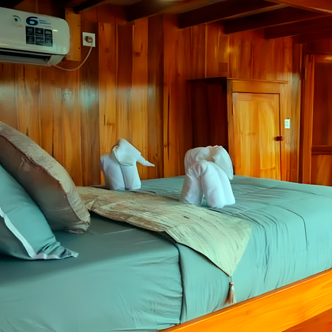 Labuan Bajo Komodo Scuba Diving Liveaboards