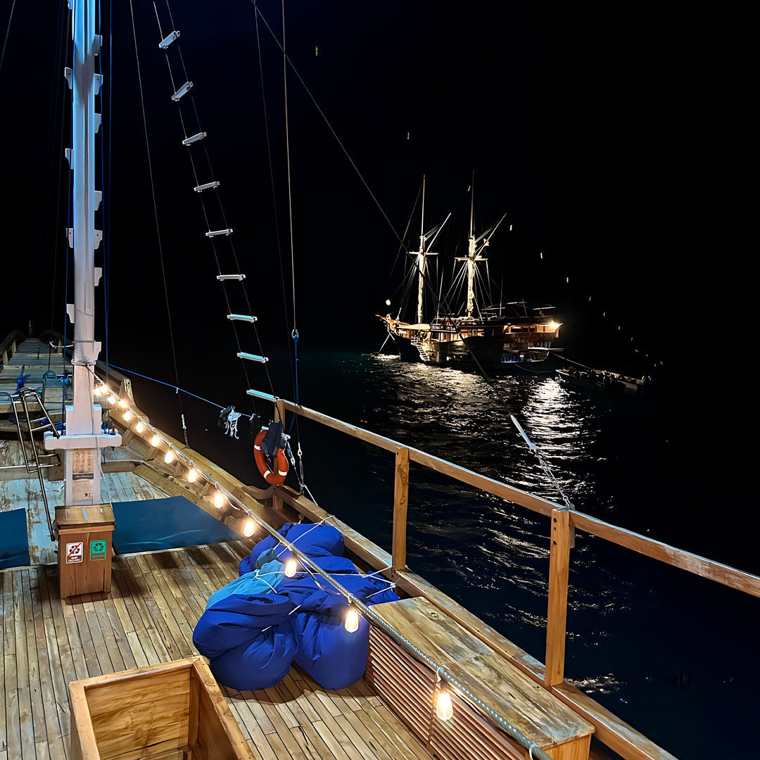 Komodo Highlights Liveaboard Lotus Liveaboard