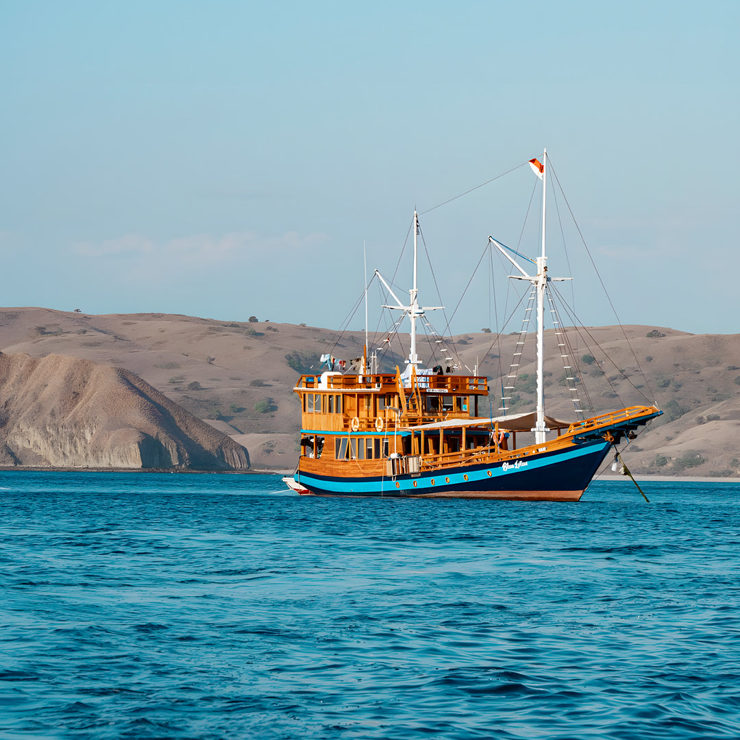 Komodo Highlights Liveaboard Lotus Liveaboard