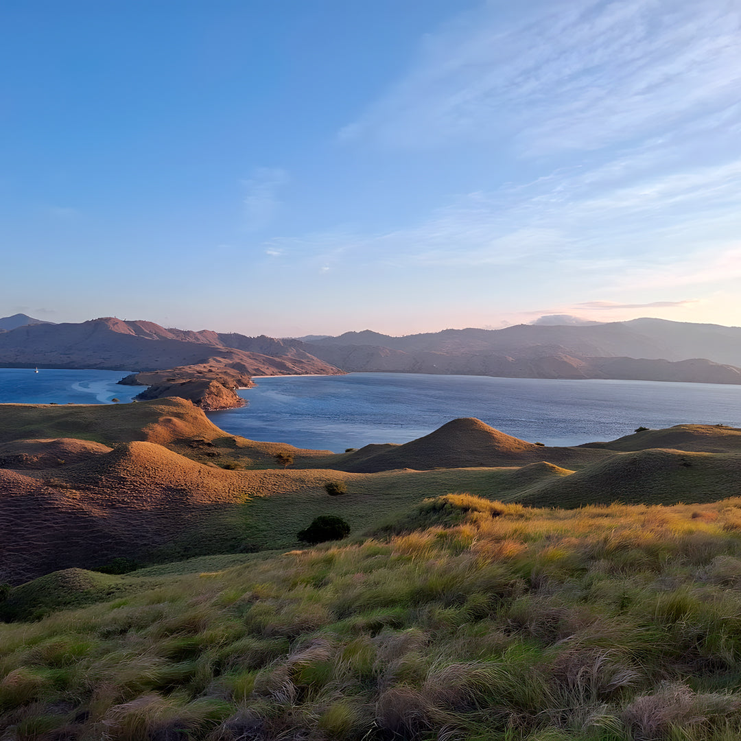 Labuan Bajo Komodo Scuba Diving Liveaboards