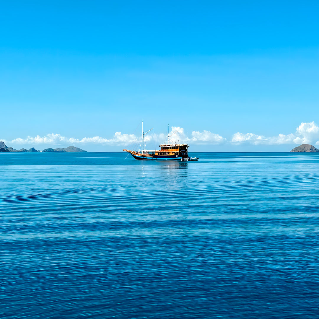 Komodo Highlights Liveaboard Lotus Liveaboard