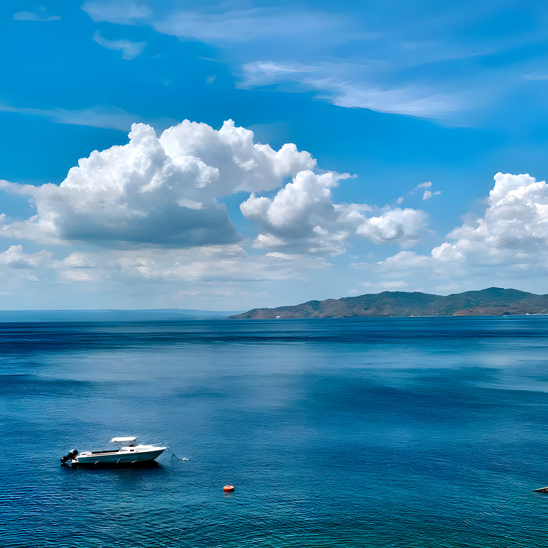 Anilao - Tubbataha Scuba Diving Liveaboard
