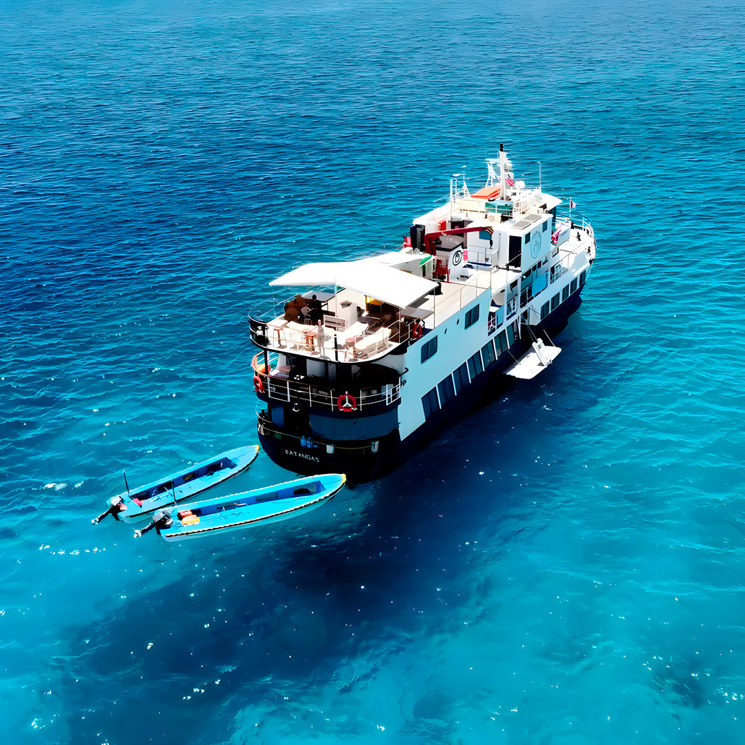 Anilao - Tubbataha Scuba Diving Liveaboard