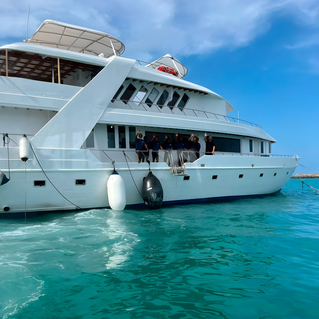 Best of Central Maldives Scuba Diving Liveaboard DB Amba Maldives