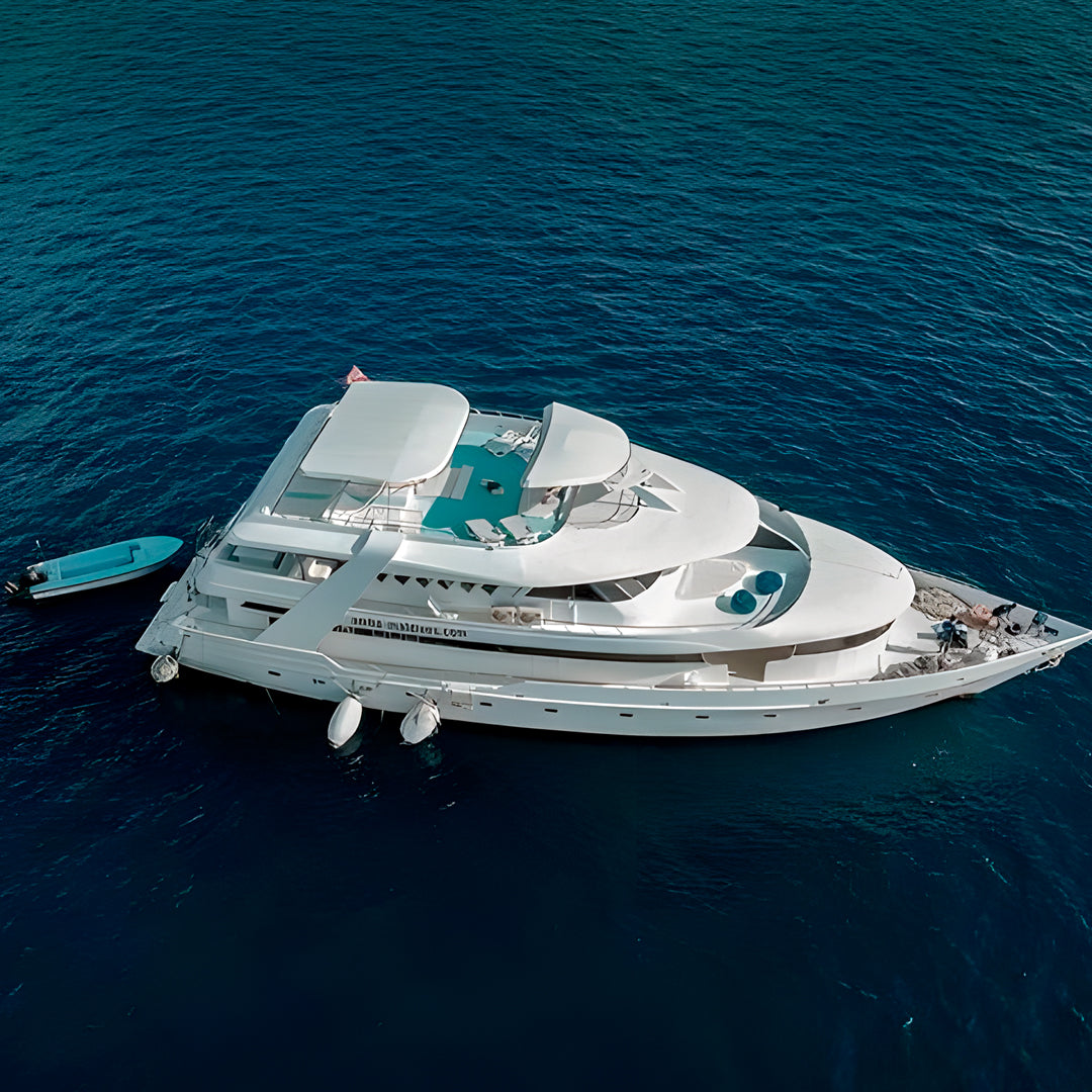 Best of Central Maldives Scuba Diving Liveaboard DB Amba Maldives