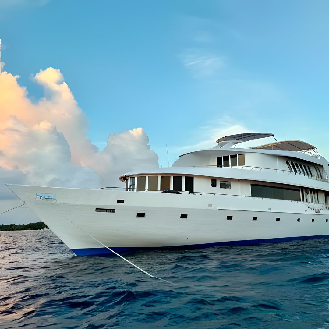 Best of Central Maldives Scuba Diving Liveaboard DB Amba Maldives