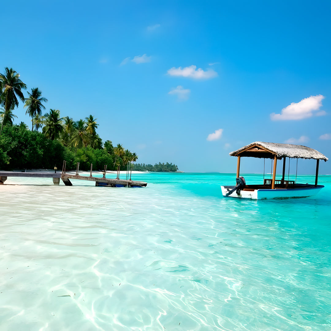 Best of Central Maldives Scuba Diving Liveaboard DB Amba Maldives