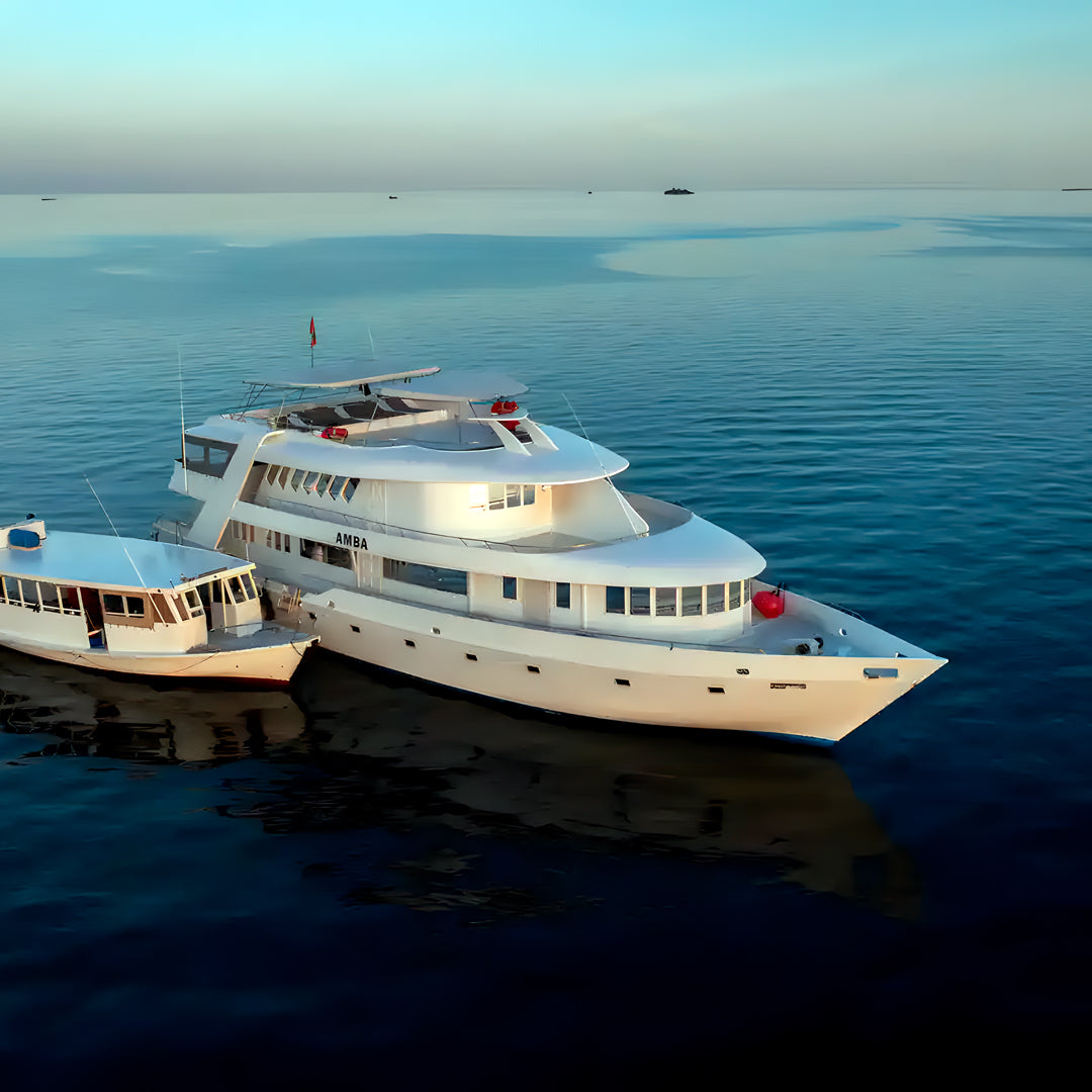Best of Central Maldives Scuba Diving Liveaboard DB Amba Maldives