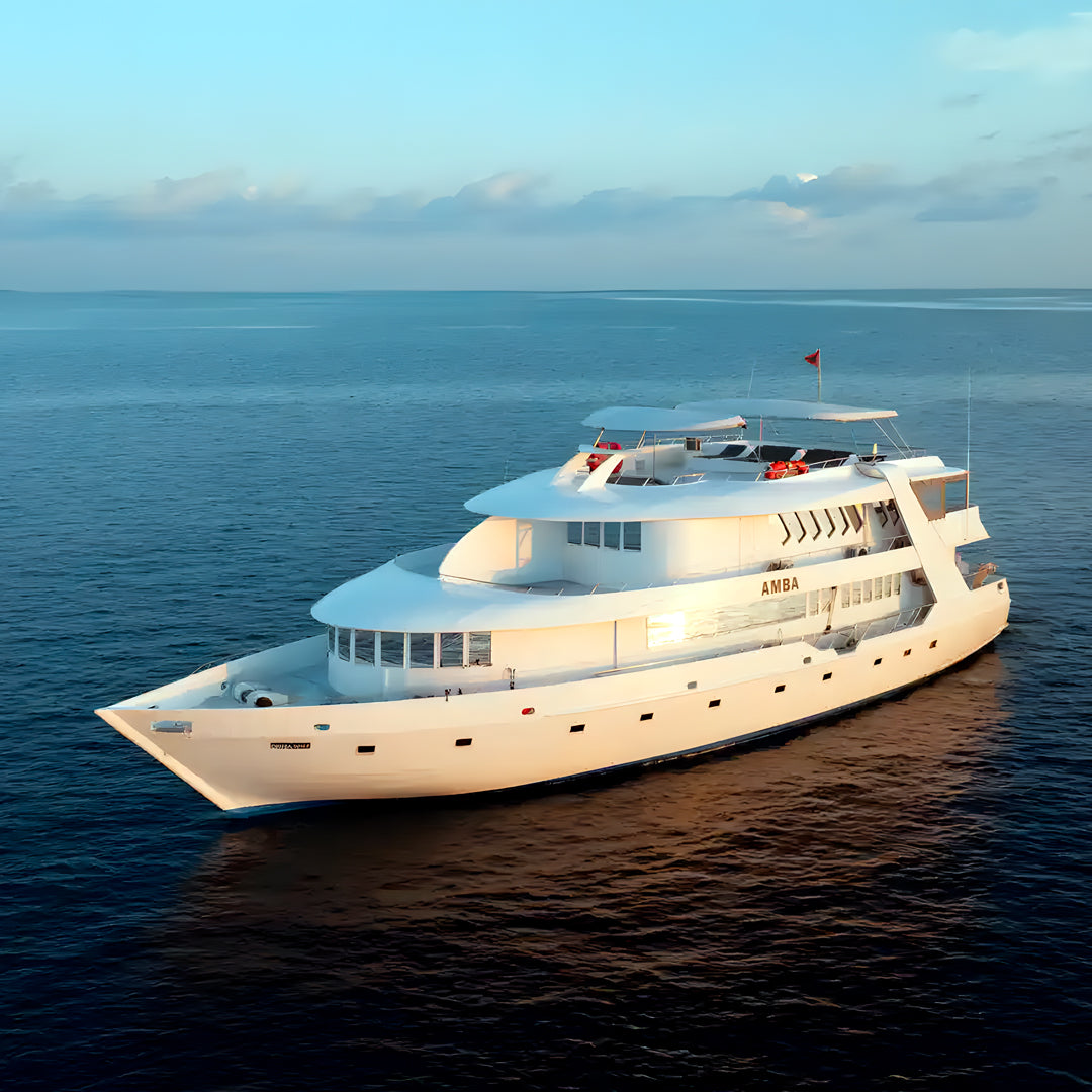 Best of Central Maldives Scuba Diving Liveaboard DB Amba Maldives