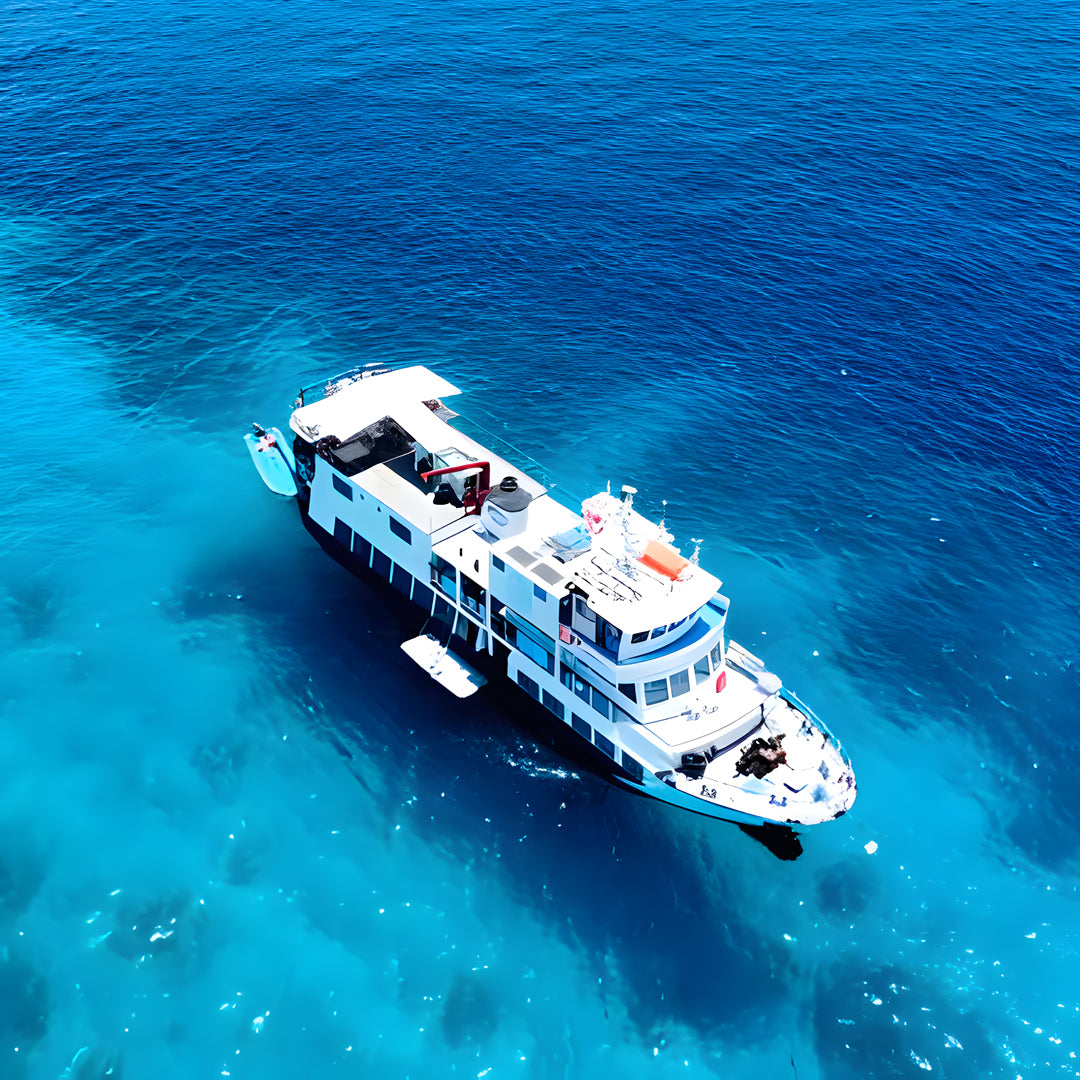 Tubbataha Adventure Liveaboard Dolphin Liveaboard