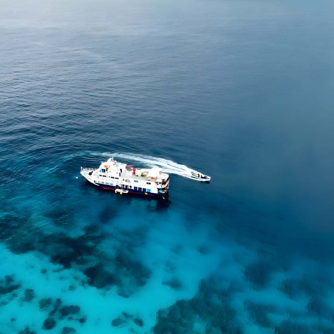 Puerto Princesa Scuba Diving Liveaboard Dolphin Liveaboard