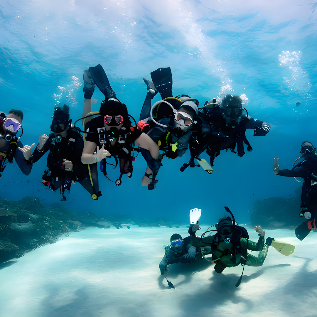 Puerto Princesa Scuba Diving Liveaboard Dolphin Liveaboard