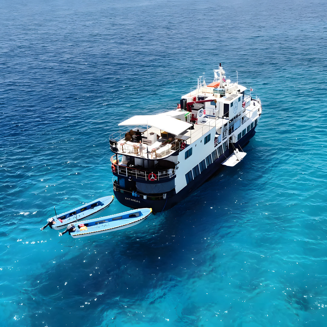 Tubbataha Adventure Liveaboard Dolphin Liveaboard