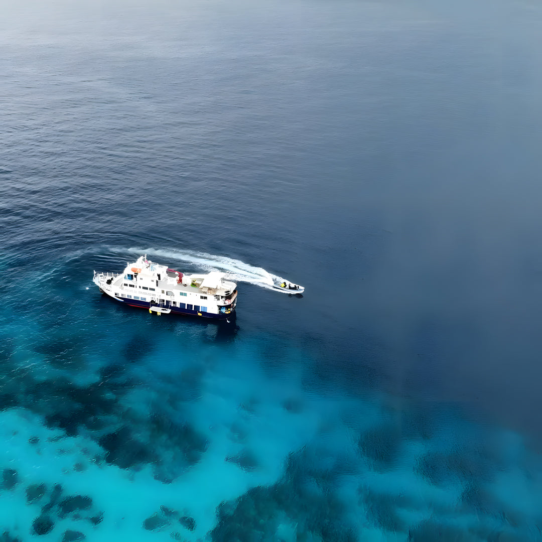 Tubbataha Adventure Liveaboard Dolphin Liveaboard