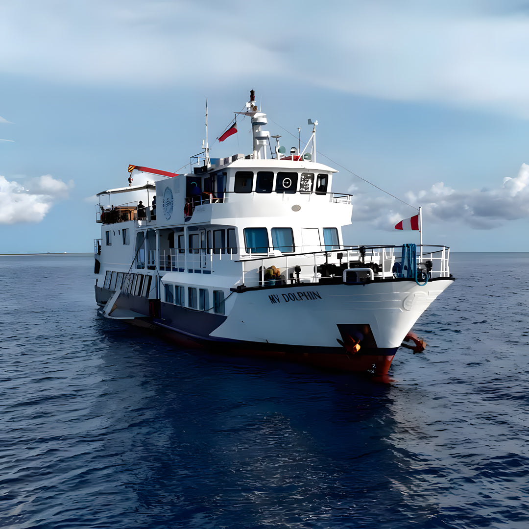 Tubbataha Adventure Liveaboard Dolphin Liveaboard