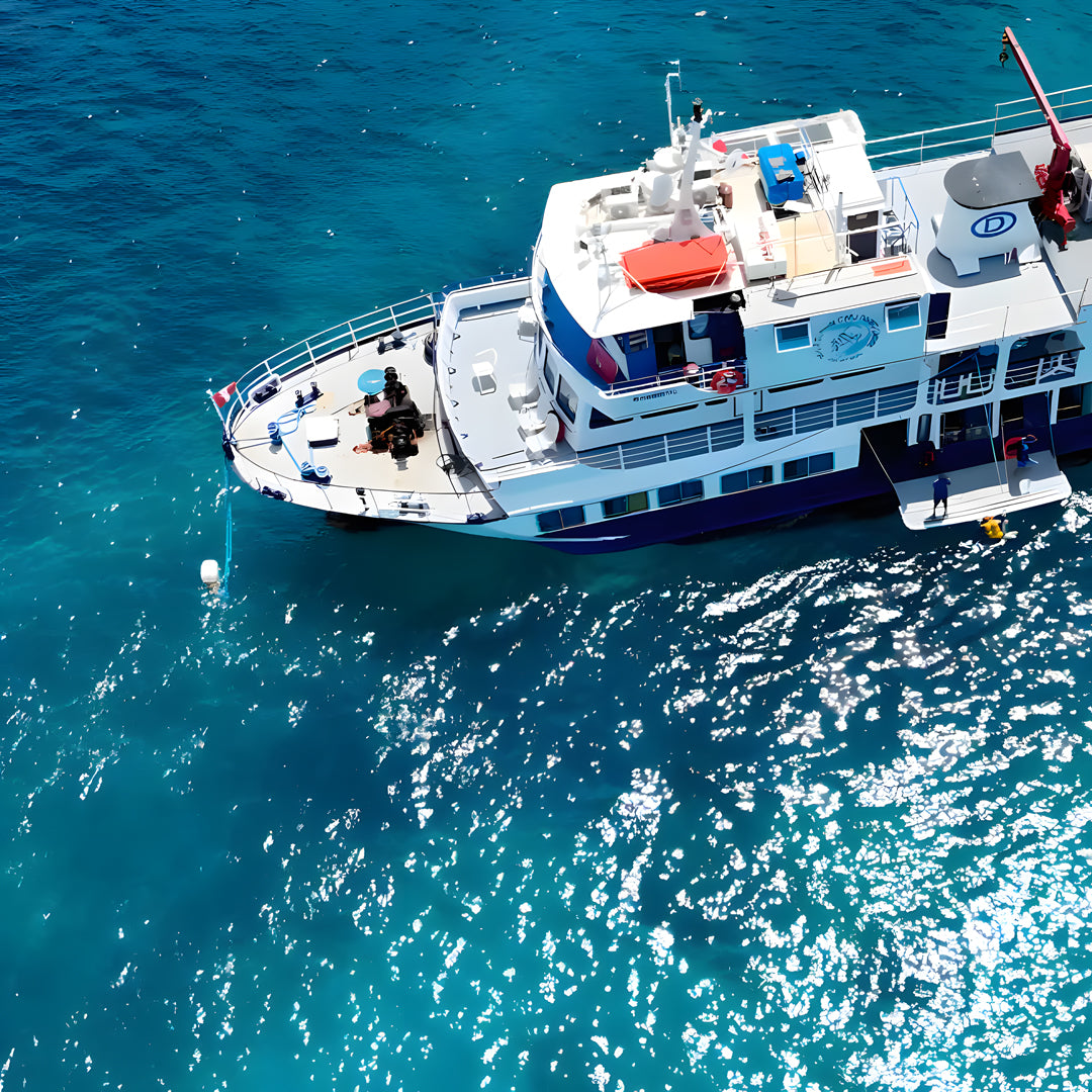 Tubbataha Adventure Liveaboard