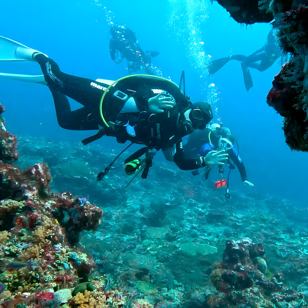 Komodo National Park Scuba Diving Exclusive Liveaboard Escape Liveaboard
