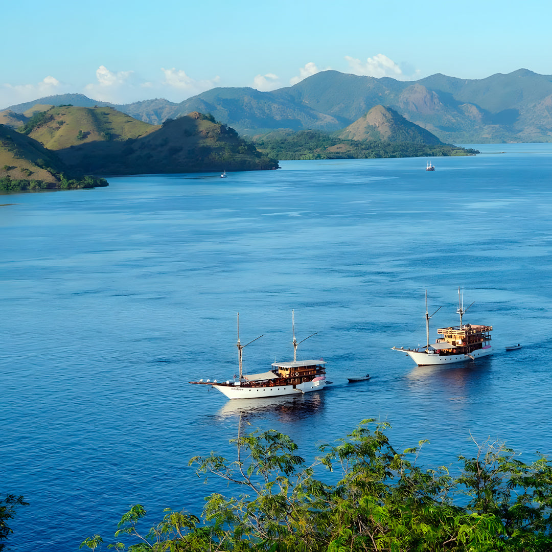 Komodo National Park Scuba Diving Exclusive Liveaboard Escape Liveaboard