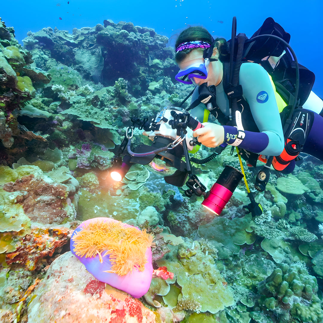 Best of Palau Scuba Diving Liveaboard Pearl Fleet