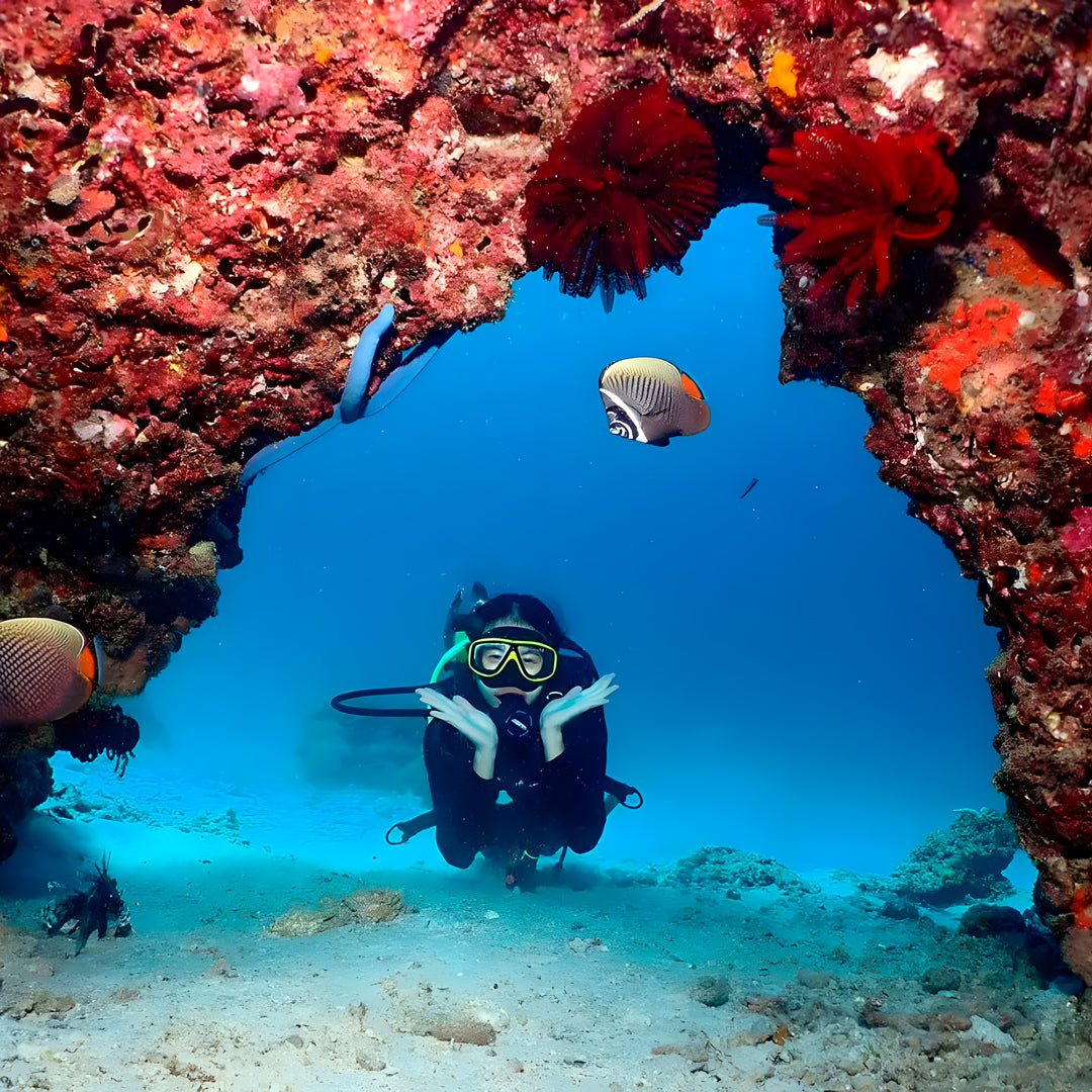 Bida Islands Scuba Diving Liveaboard Thailand Divers