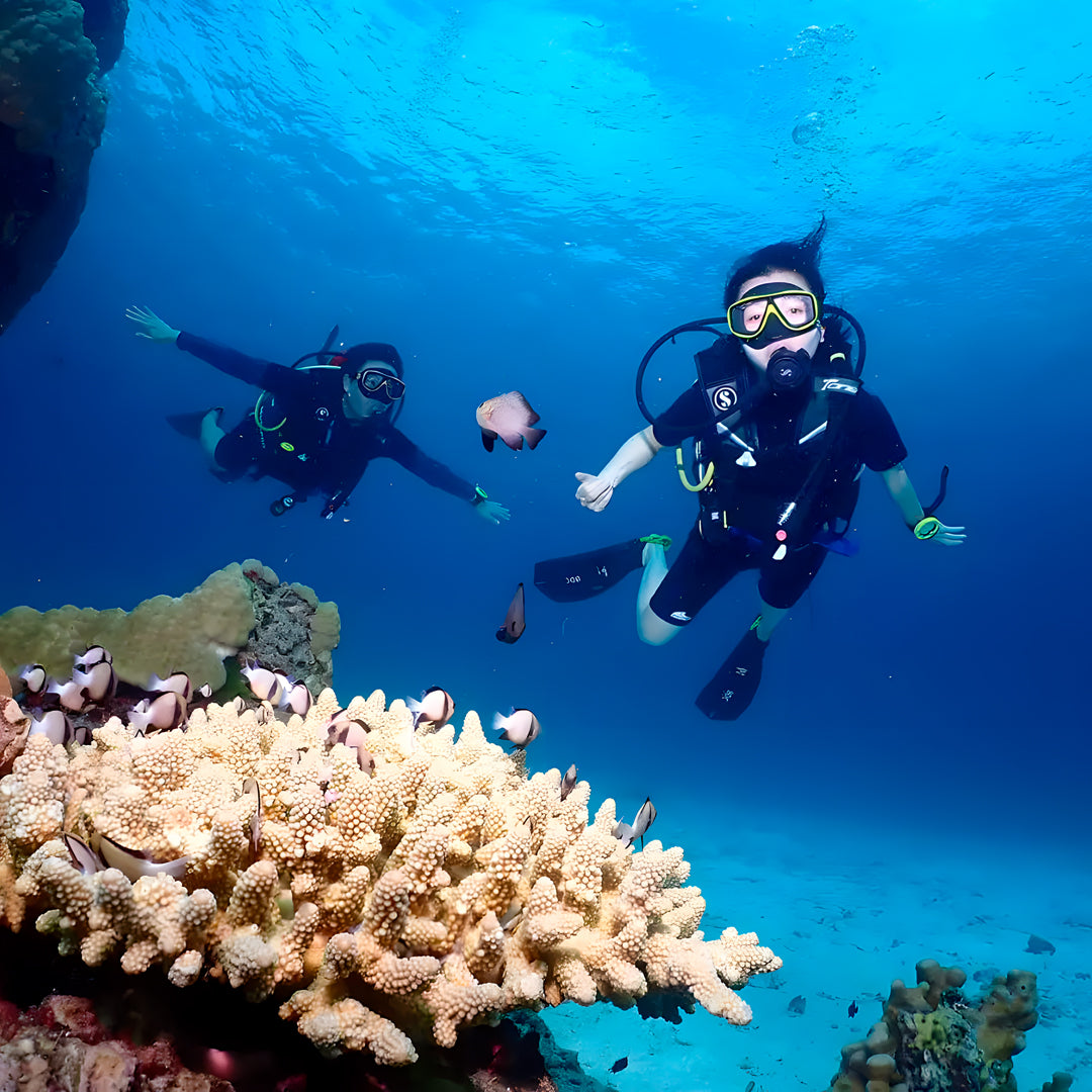 Bida Islands Scuba Diving Liveaboard Thailand Divers