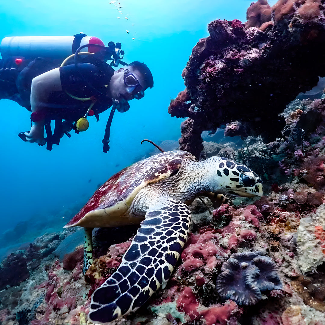 Bida Islands Scuba Diving Liveaboard Thailand Divers