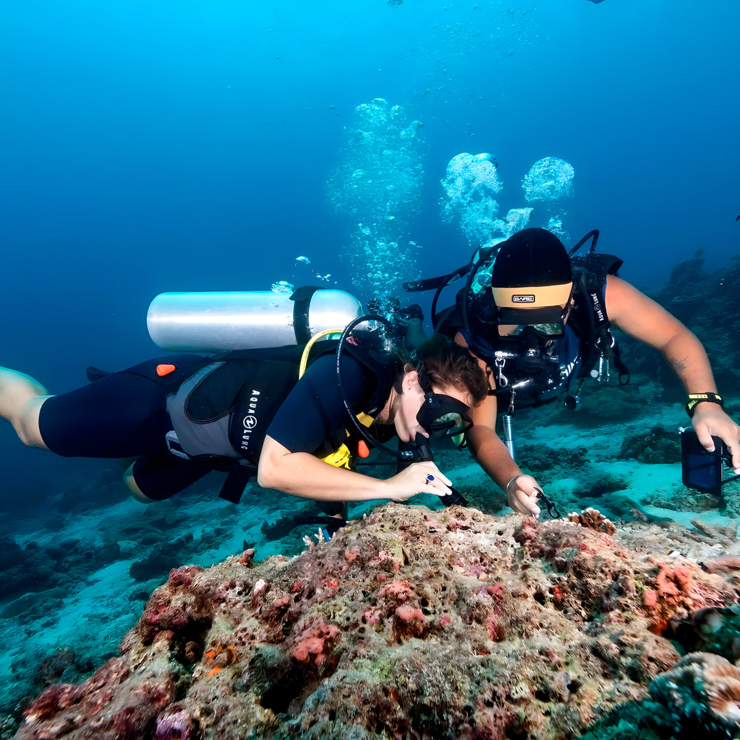 Similan & Surin Islands Liveaboard
