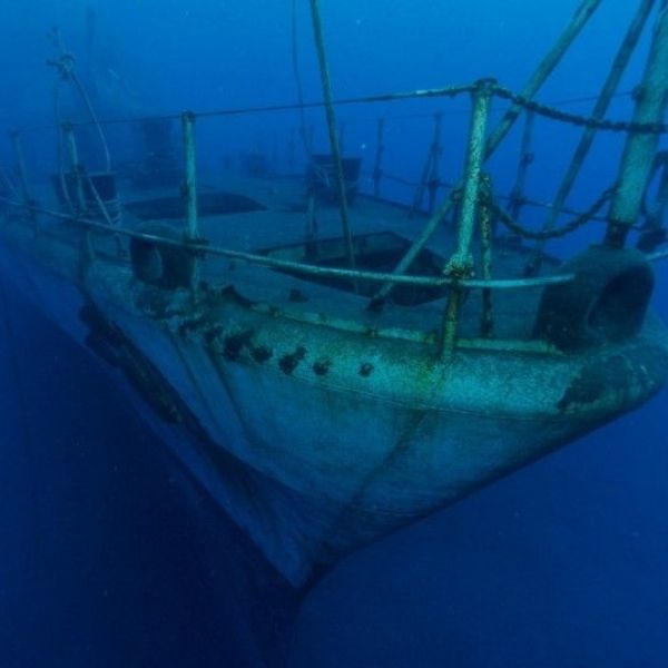 Madeira Island Scuba Diving Trip