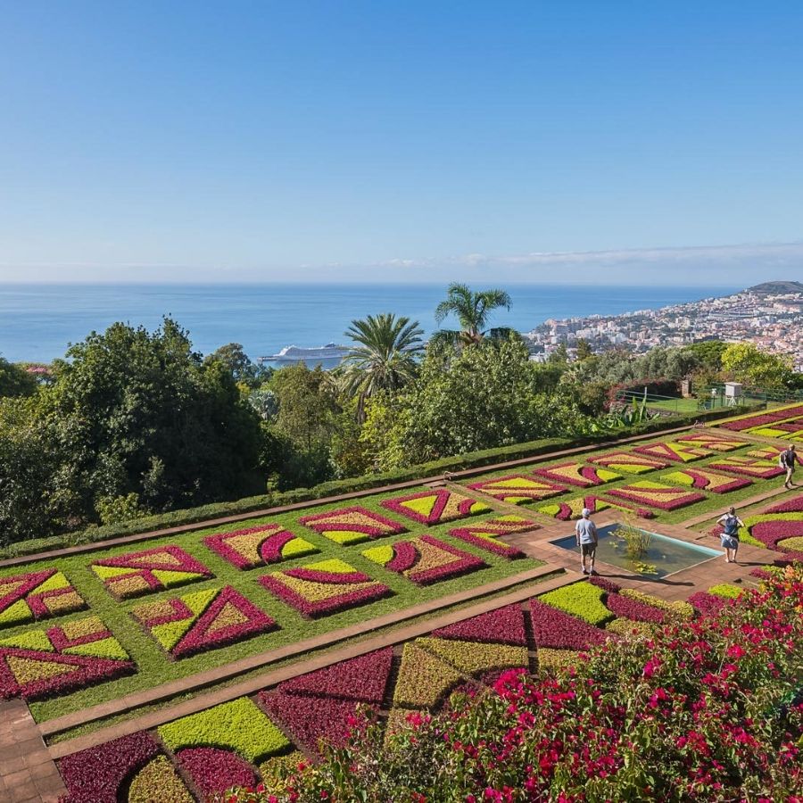 Madeira Island Scuba Diving Trip