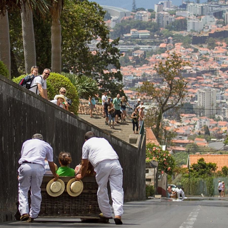 Madeira Island Scuba Diving Trip