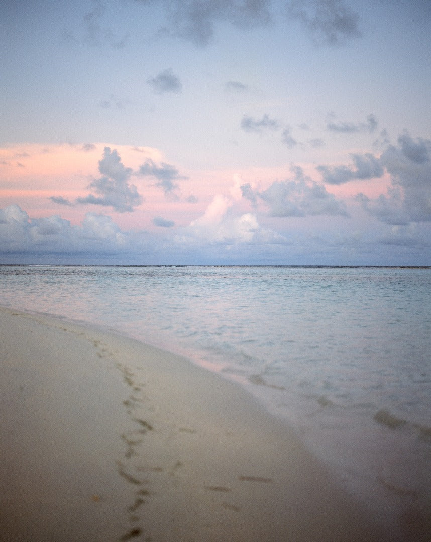 Maldives Scuba Diving & Freediving Expedition