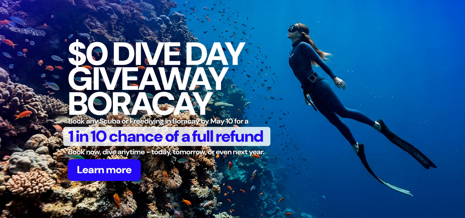 Dive Bookings