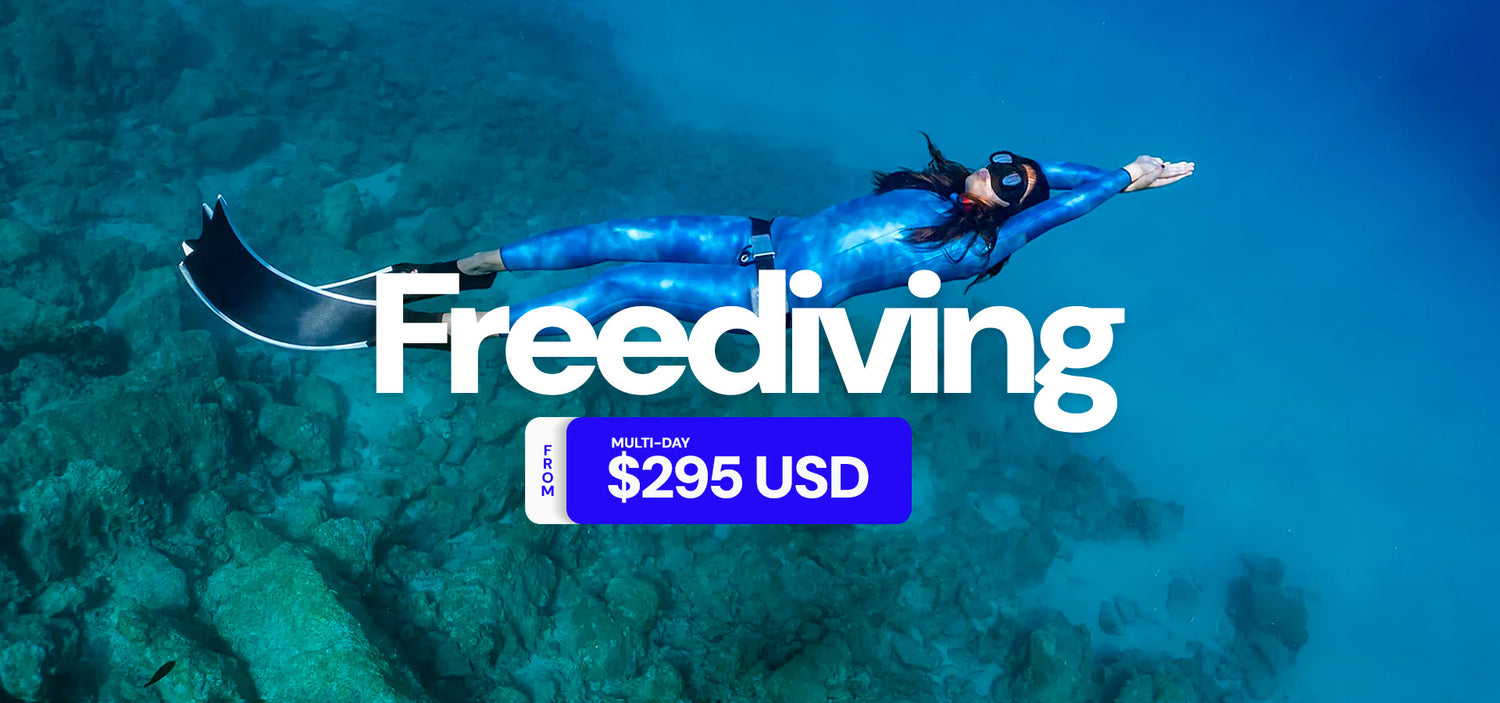 Dive Bookings