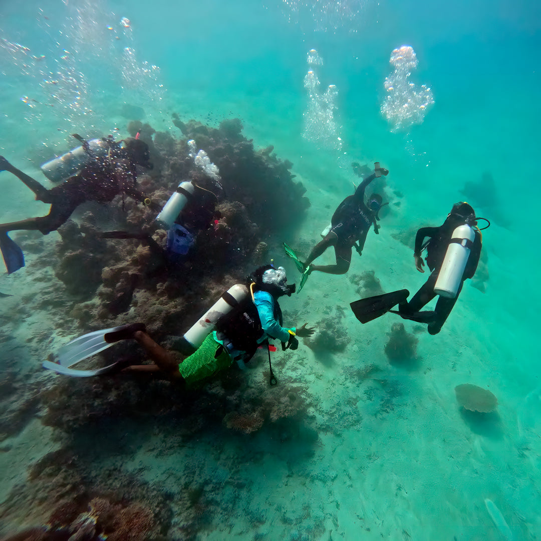 Kaafu Atoll Scuba Diving and Stay Getaway
