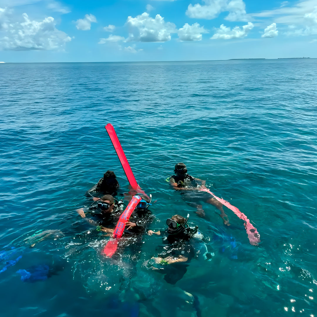Open Water Diver Course Maldives Trip